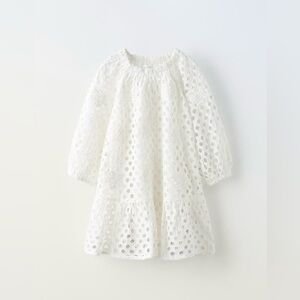 ZARA.. SCHIFFLI embroidered flower dress